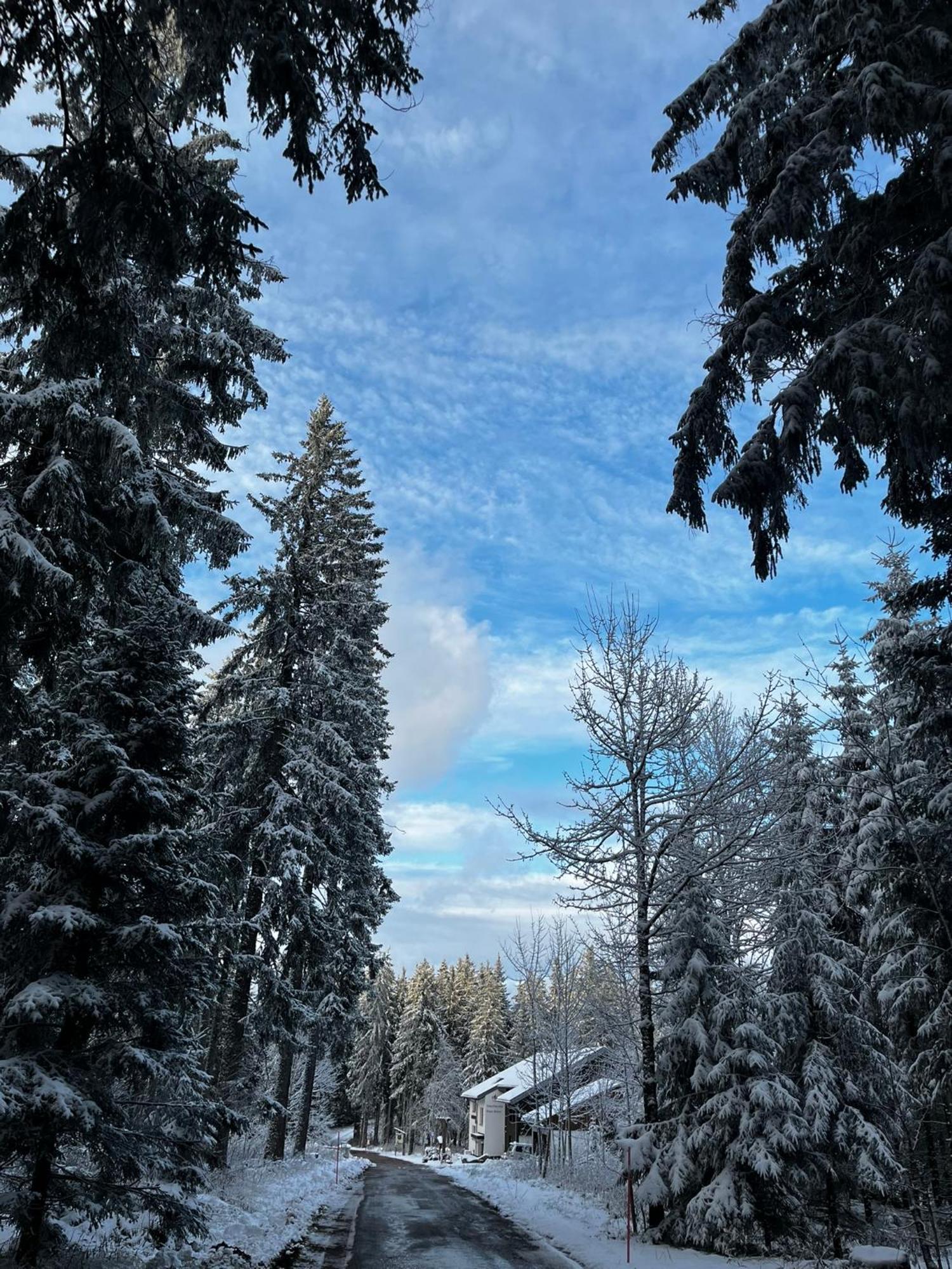 Naturfreundehaus Brend Furtwangen Eksteriør billede